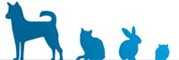 ambulatorio veterinario