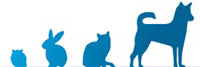 ambulatorio veterinario